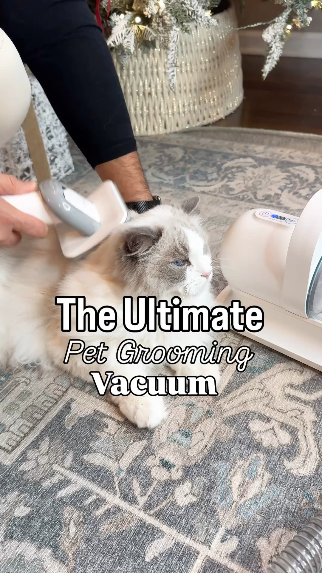 This grooming vacuum is now on a limited time deal!✨ It makes grooming and trimming 10x easier for both you and your pet and is suitable for both long and short haired pets!
Amazon find, Amazon must have, Amazon pets, gift guide, gift guide for animal lovers, Amazon home, gifts for her, gifts for him, gifts for mom, gifts for dad, pet essentials, pet finds, pet supplies, Amazon finds home, Amazon home finds, gifts for pet lovers

#LTKGiftGuide #LTKSaleAlert #LTKFindsUnder100