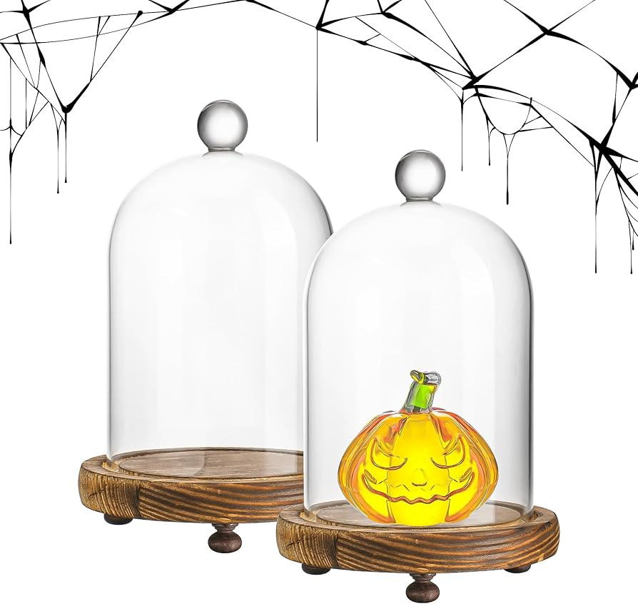 2pcs Glass Cloche Display Dome 6.4x3.7 inch Decorative Glass Display Bell Jar Centerpiece Display... | Amazon (US)