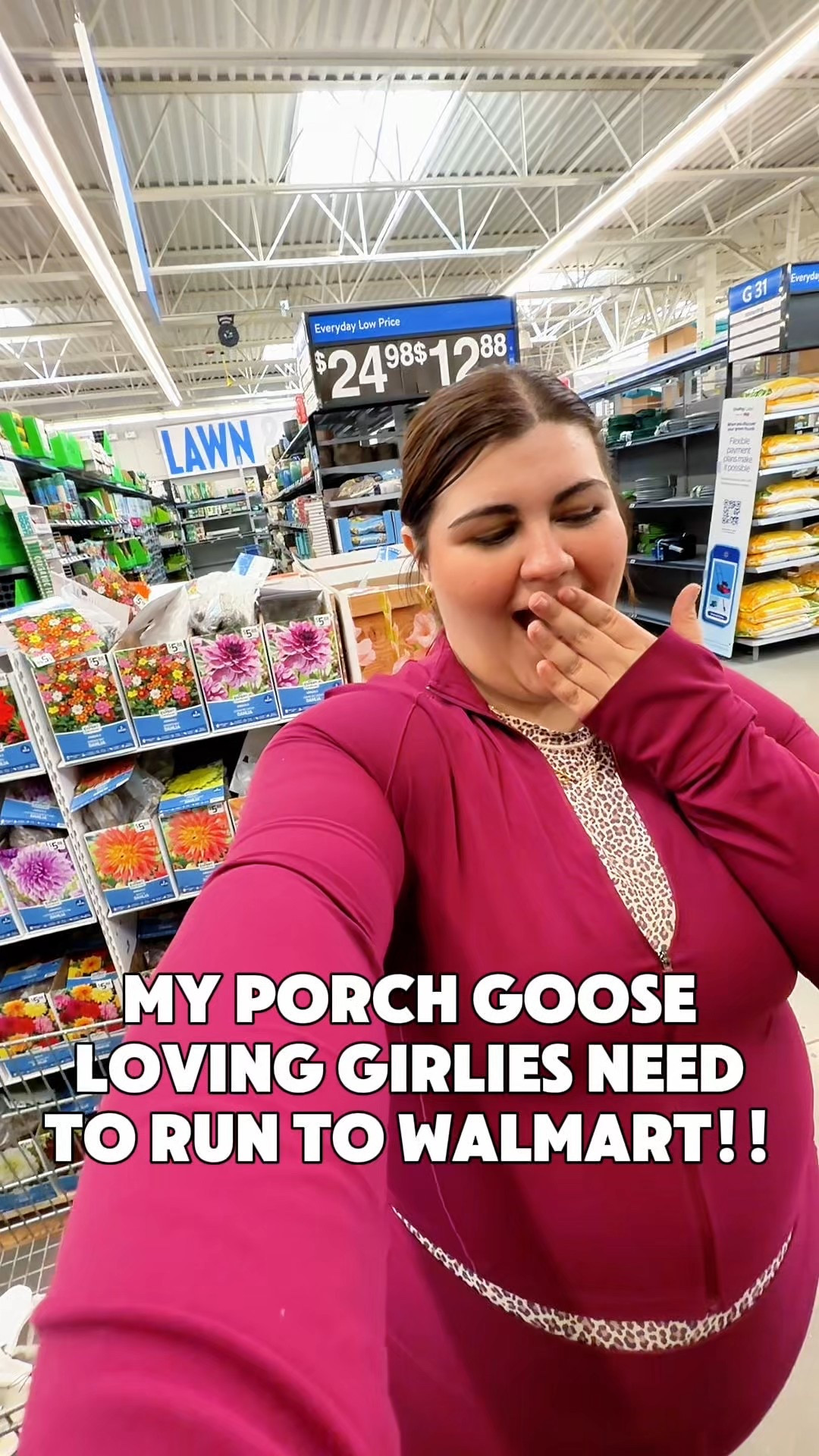 All my porch goose girlies need to run to Walmart!!!! 

#LTKHome