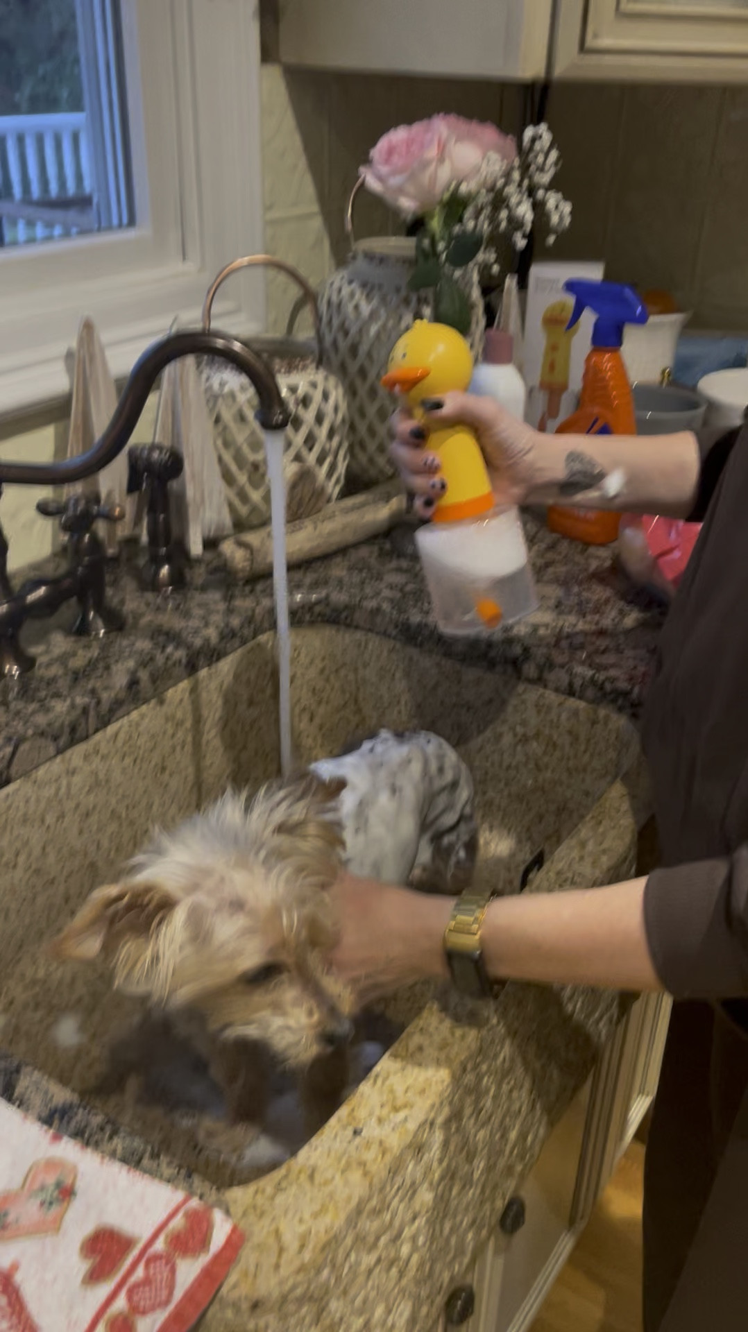 Pampering my pup because I love him so much. Save money don’t let shampoo float down the drain. This foam shampoo dispenser is a game changer. The charge lasts a long time, easy to use, cut washing time in half and your pup will smell amazing. A must have for all dog owners!! 