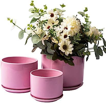 SanDope Glazed 6.2+5.2+4.2 in Succulent Plant Pots - Cylindrical Ceramic Planters with Connected ... | Amazon (US)