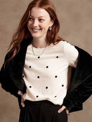 Dotted Sweater | Banana Republic Factory