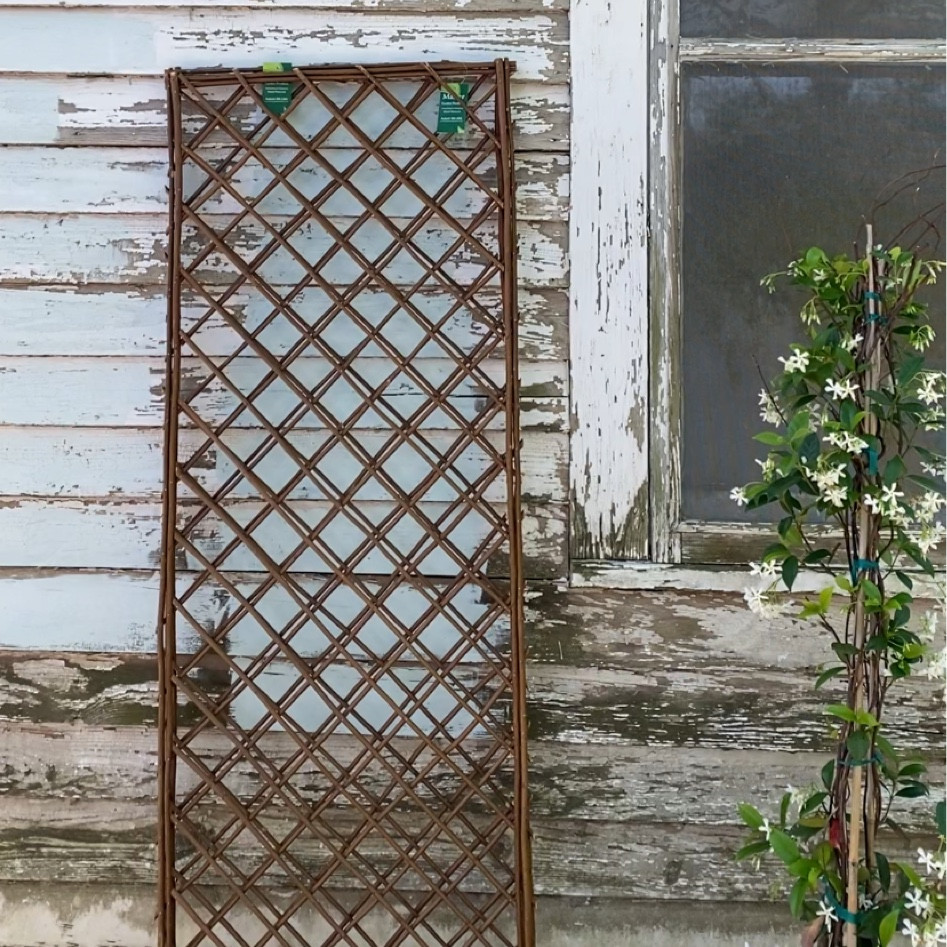 Our new lattice trellis for our climbing jasmine in the backyard!!

#LTKSeasonal #LTKFind #LTKhome