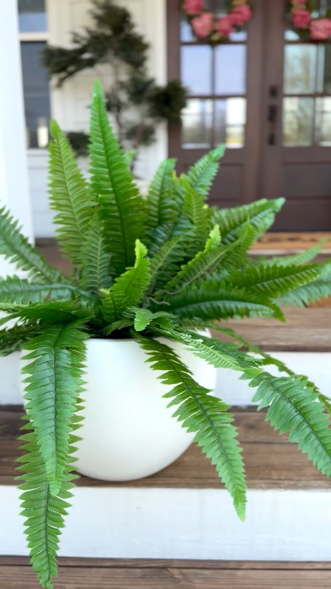 Obsessed with these UV RESISTANT faux ferns!

#LTKHome #LTKSaleAlert #LTKSeasonal