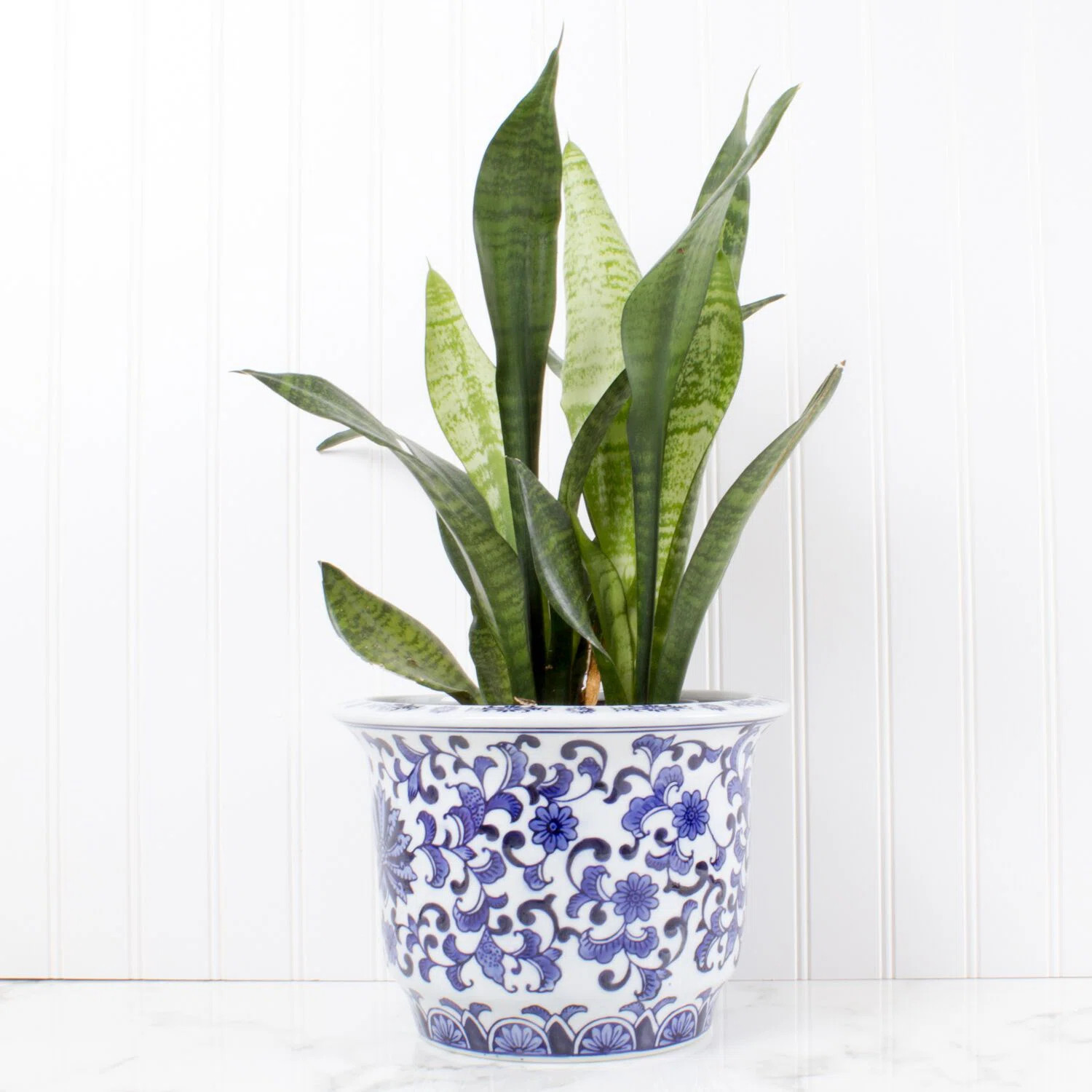 Brantley Ceramic Pot Planter | Wayfair North America