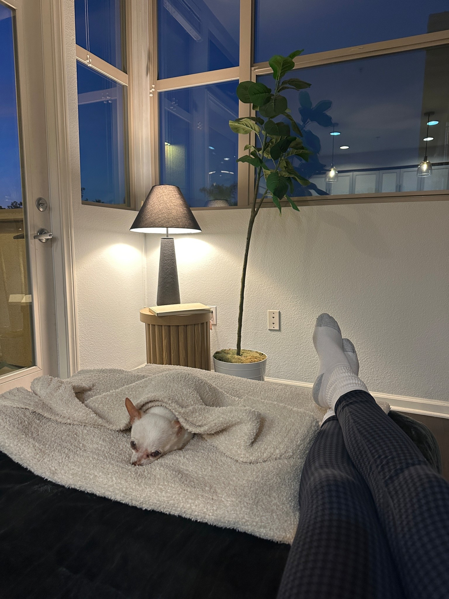 Cozy Amazon home finds 