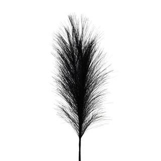 Black Pampas Grass Halloween Pick by Ashland® | Michaels | Michaels Stores