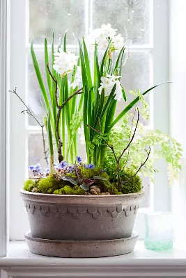 Bergs Copenhagen Terracotta Bowl + Saucer Set | Anthropologie (US)