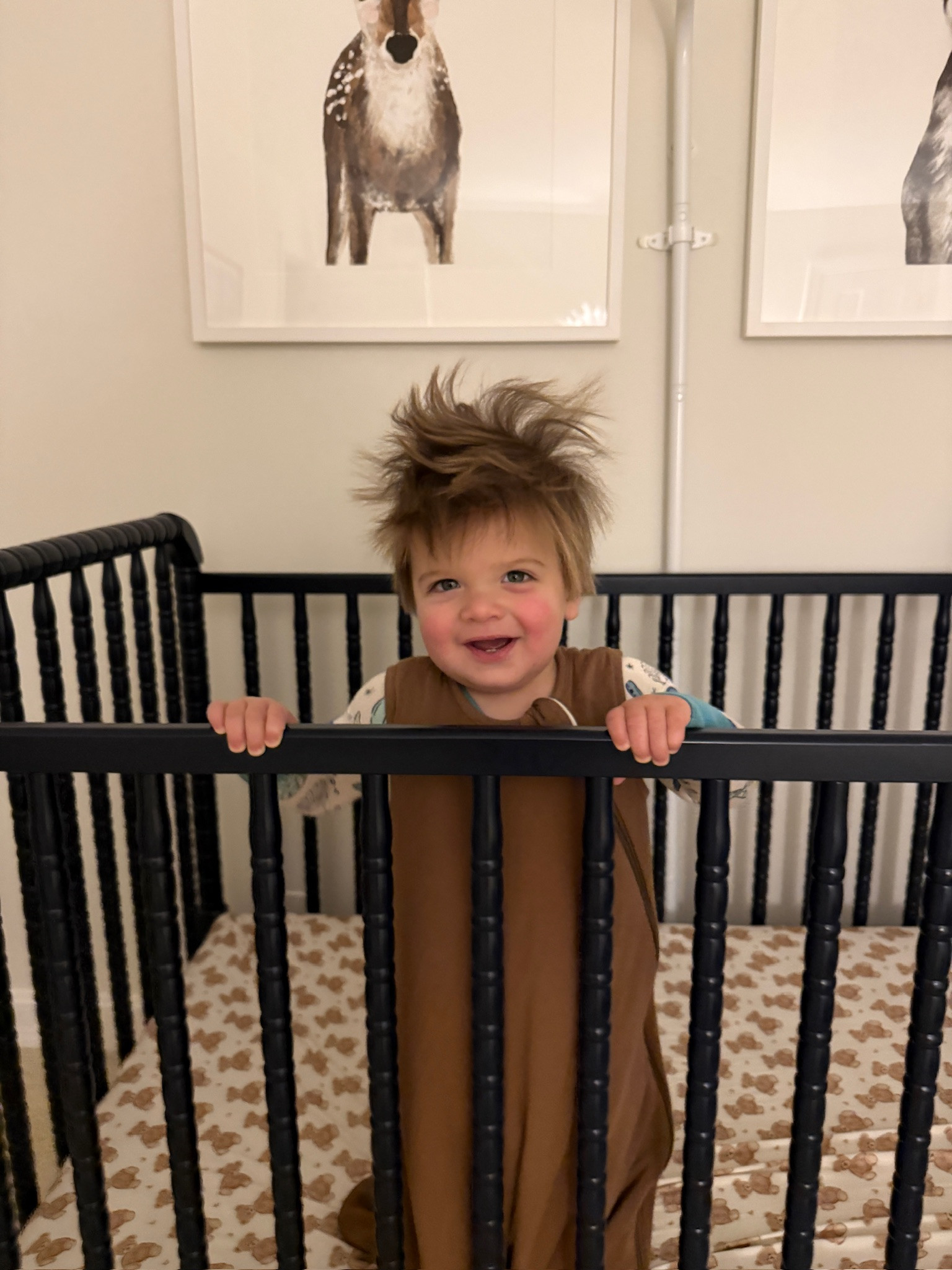 Love cooper & all his crazy hair!!

teddy bear sheets, kids sheets, baby sheets, crib sheets, sleep sack, baby sleep sack, kids sleep sack, turtle pjs, zippies, boy mom, Grace White 

 

#LTKStyleTip #LTKBaby #LTKKids