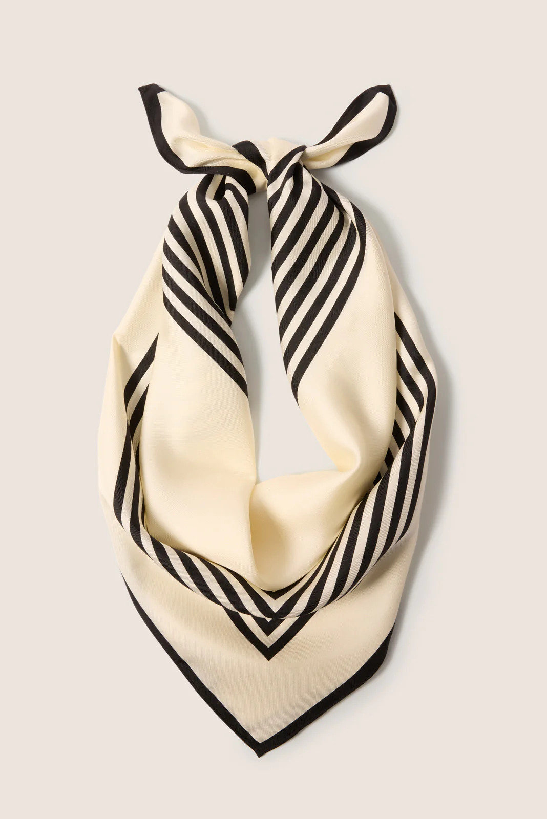 Classic Silk Scarf | Evereve