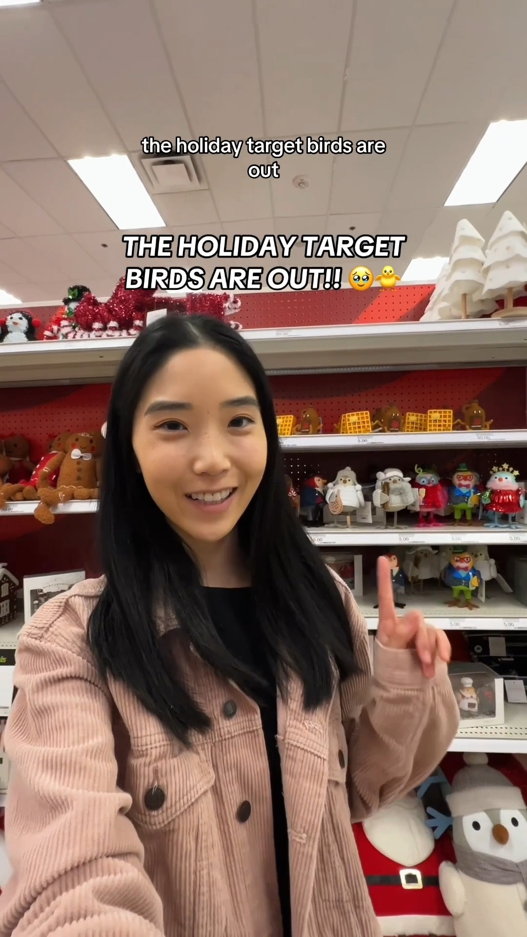 Target holiday birds!!☺️🐥

#target #targetfinds #bird #home #christmas #holiday #giftguide #homedecor #christmastree #christmasdecor 

#LTKHoliday #LTKGiftGuide #LTKHome