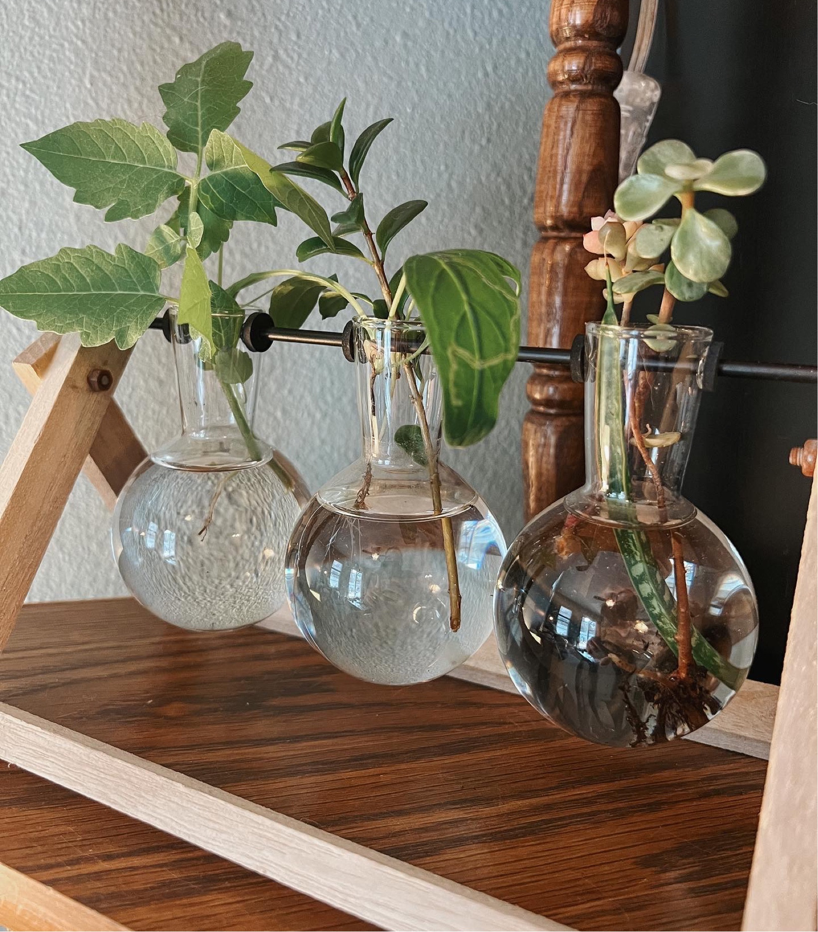 Propagation station 🌱🪴 a few of my patio plants that flooded from the storm last week didn’t make it through. I’m hoping these little guys start to grow fresh roots so I can replace the lost planters.  // tagging this planter plus a few similar options 🪴🌱

#LTKGiftGuide #LTKhome #LTKCyberweek