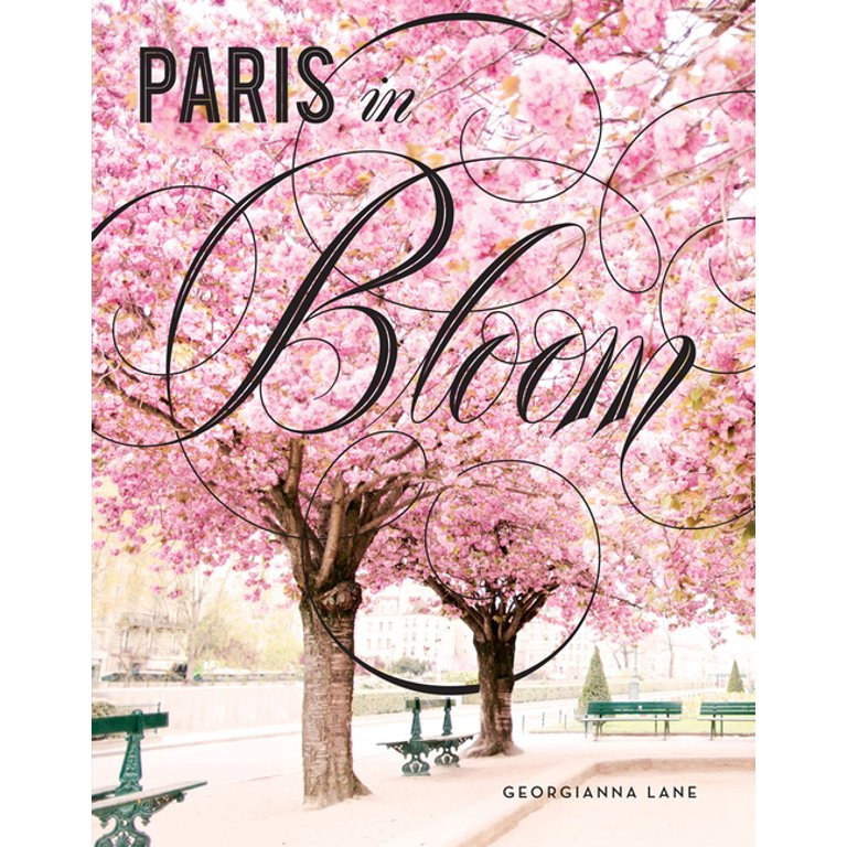 Paris in Bloom - Hardcover: 9781419724060 | Walmart (US)