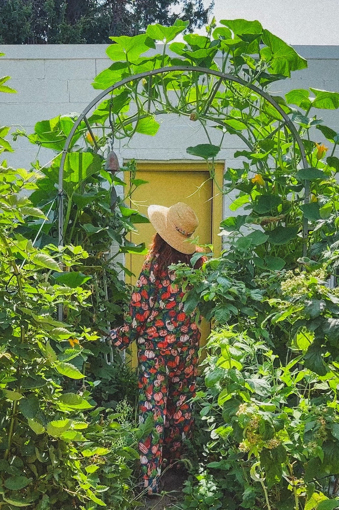 Cute Fall Pajamas

#LTKStyleTip #LTKHome #LTKSeasonal