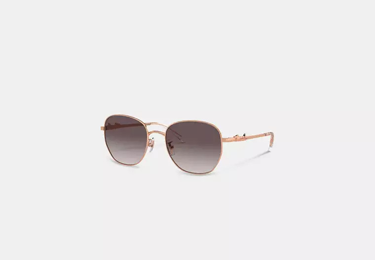 Coach Script Round Sunglasses | Coach Outlet US