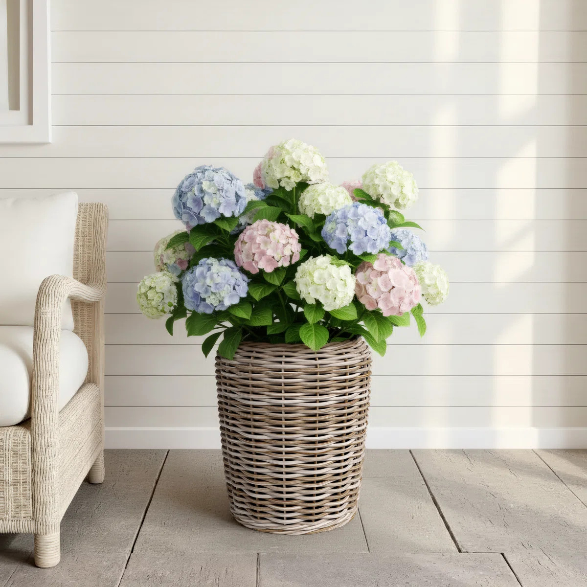 Sedona Handmade Pot Planter | Wayfair North America