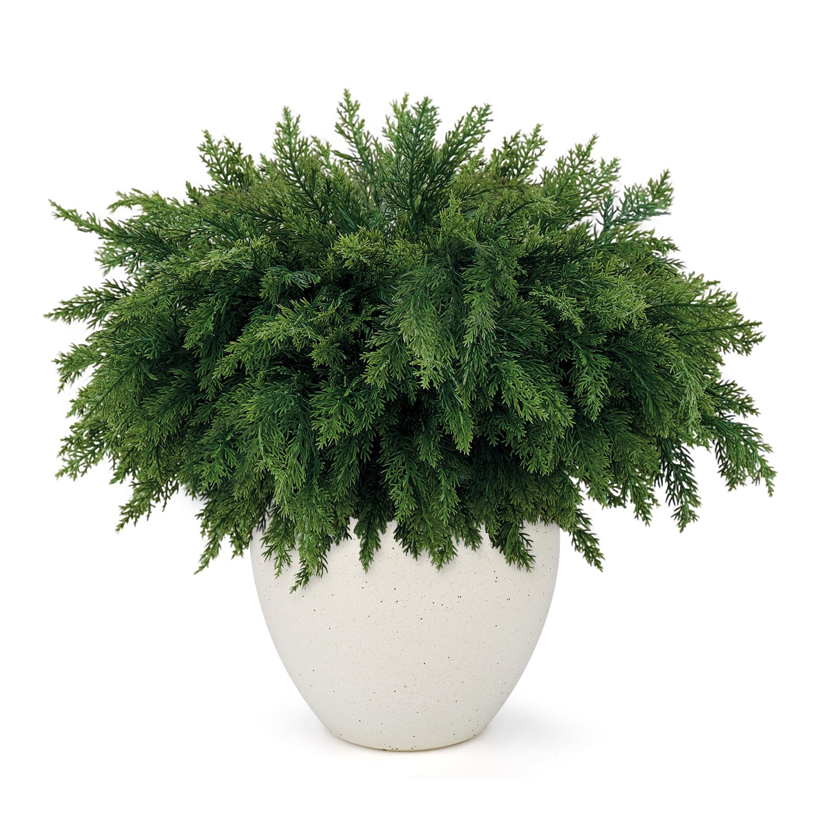 12 Pcs Real Touch Norfolk Pine Branch - 18 Inch Artificial Green Plants Branches, Faux Greenery P... | Amazon (US)