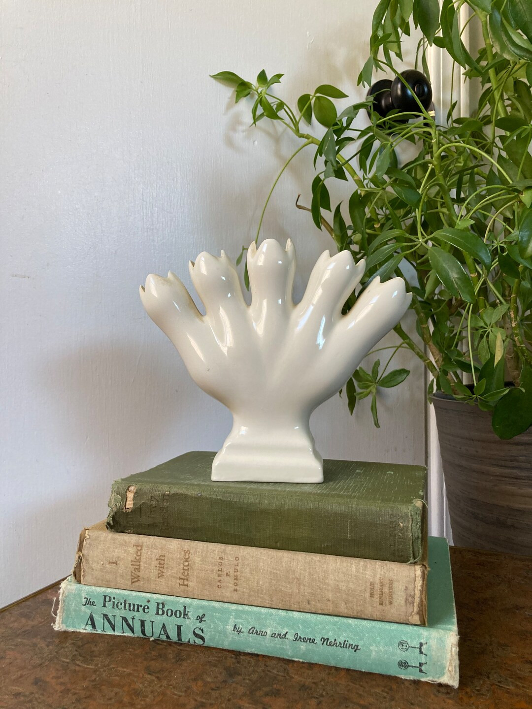 Star Seller. This seller consistently earned 5-star reviews, shipped on time, and replied quickly... | Etsy (US)