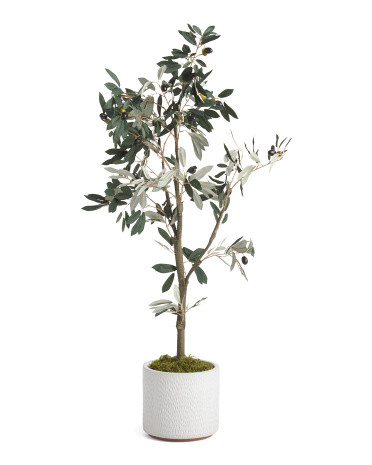 4ft Dusty Olive Tree In Glazed Pot | Marshalls