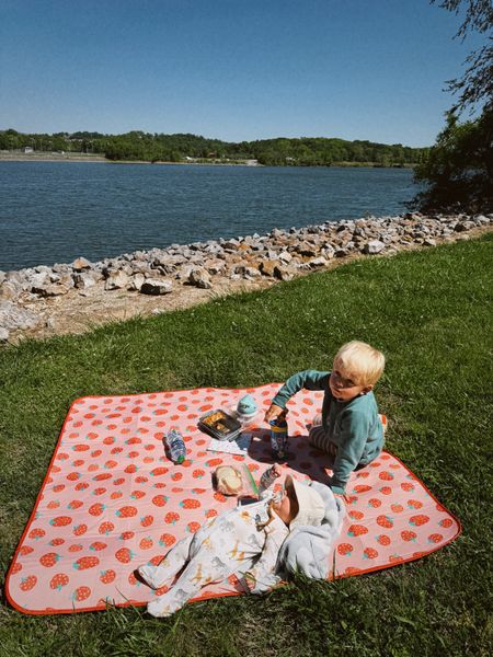 Picnic blanket. Picnic Mat. Summer things  

#LTKhome #LTKkids #LTKSeasonal