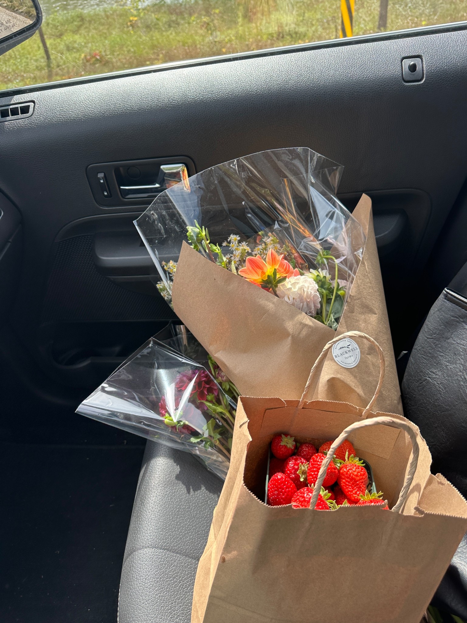 recent purchases 

#LTKcanada #LTKbeauty #LTKfall