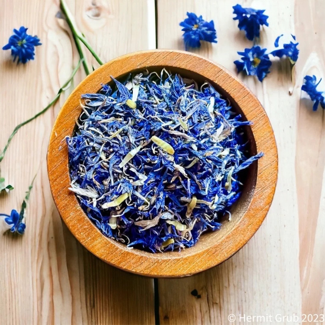 Blue Cornflowers | Hermit Crab Food - Etsy | Etsy (US)