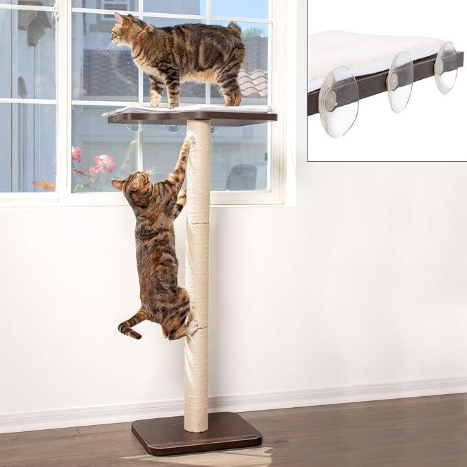 PetFusion Ultimate Cat Window Climbing Perch 45” Tall (Tree Sisal Scratching Posts, Modern Desi... | Amazon (US)