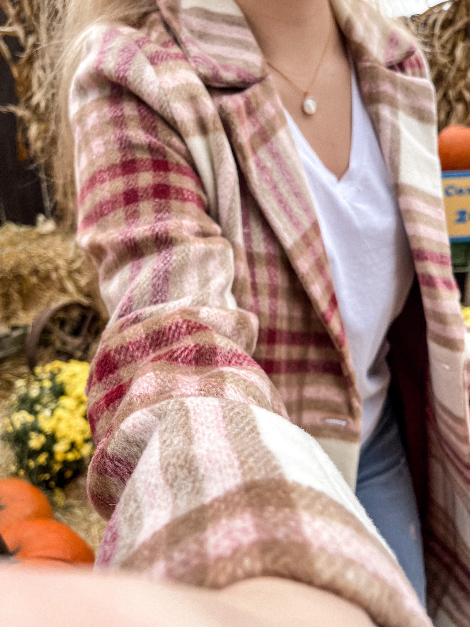 Close ups with #minkpink & #joydravecky 🤍🫶🏼✨
•
•
•
#rileycheckcoat #necklace #neutralfashion #neutralstyle #fallfashion #fallstyle 

#LTKstyletip #LTKunder100 #LTKSeasonal
