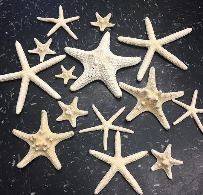 PEPPERLONELY 14PC Mixed Starfish, Finger Starfish, Knobby Armored Starfish, Jungle Starfish 2 Inc... | Amazon (US)
