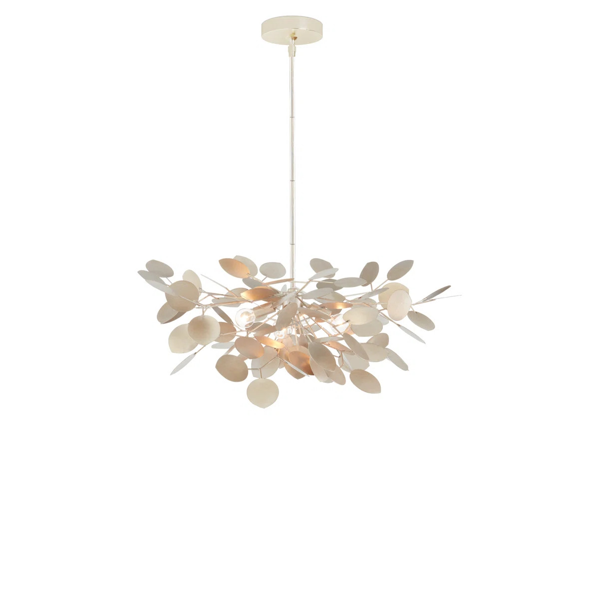 Currey & Company Lunaria Small Chandelier & Reviews | Perigold | Perigold