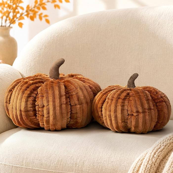 AELS Pumpkin Throw Pillows Set of 2, 14" & 10" Cinnamon Fall Pillows | Amazon (US)