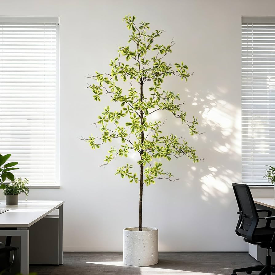 6FT Artificial Black Olive Tree Artificial Olive Plants, Tall Faux Olive Tree Faux Silk Plant Fak... | Amazon (US)