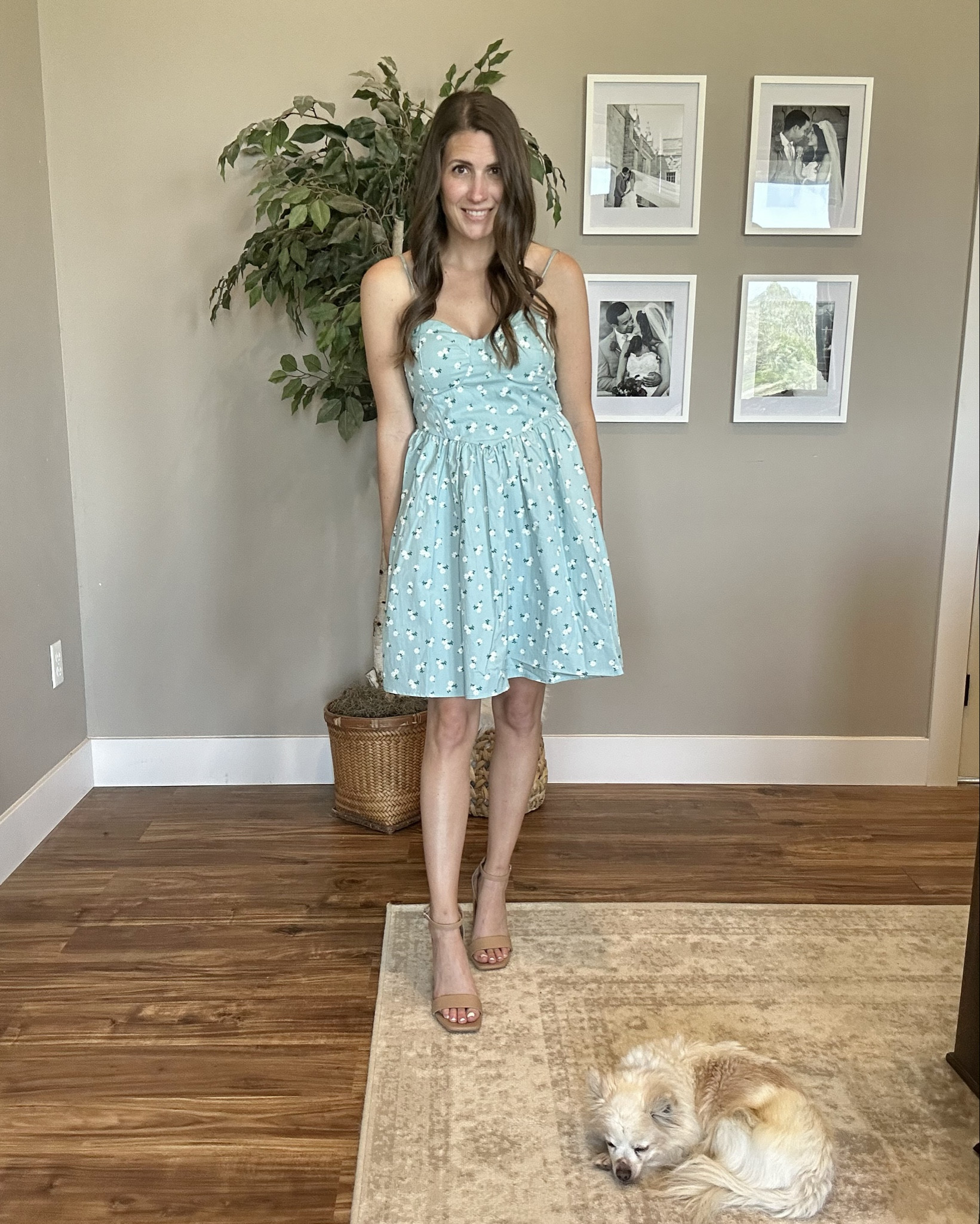 Such a cute spring and summer dress! 

#LTKwedding #LTKfindsunder50 #LTKSeasonal