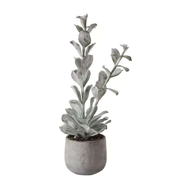 23" x 6" Artificial Faux Succulent Plant in Cement Pot - 3R Studios | Target