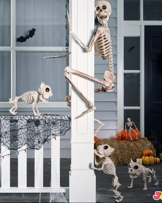 Nothing says Halloween like a GIANT skeleton 🦴👻 The 12 foot skeleton is back and selling out fast, plus I found so many cute skeleton decor pieces under $50 from Amazon, Etsy, Home Depot, Pottery Barn & Birch Lane. Whether you’re decorating your yard or creating a cozy spooky corner, these finds bring all the Halloween energy without the stress.

#giantskeleton #12footskeleton #halloweendecor #skeletondecor #amazonhalloween #etsyhalloween #homedepotdecor #potterybarnstyle #birchlanefinds #spookyseason #fallhalloween #ltkhome #ltkfall #ltkseasonal #budgetdecor #cozyspooky #halloweeninspo 

 #LTKSeasonal #LTKHome #LTKSaleAlert