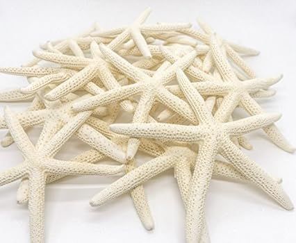 Starfish Decor - 20 Pack Assorted White Finger Star Fish 4-5 Inch - Starfish for Crafts - White Star | Amazon (US)