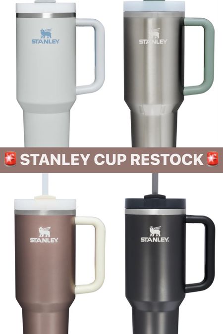 Stanley cup restock / 40oz Stanley cup / the quencher h2.0 

#LTKunder50 #LTKFind