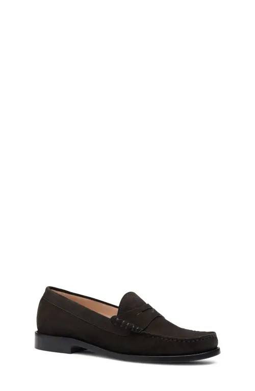 Stuart Weitzman Lottie Loafer in Shadow Suede at Nordstrom, Size 5.5 | Nordstrom