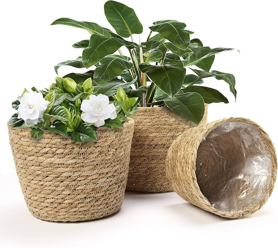 Athaliah Plant Basket Set of 3, Woven Plant Baskets Indoor with Plastic Liner, Water Hyacinth & C... | Amazon (US)