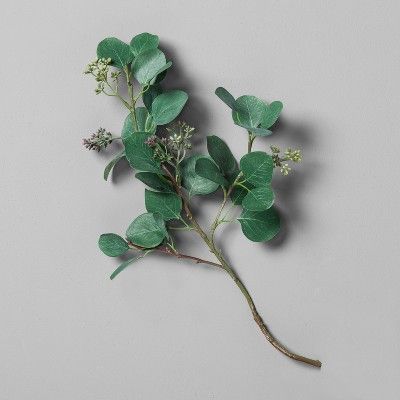 Eucalyptus Pick Stem - Hearth & Hand™ with Magnolia | Target