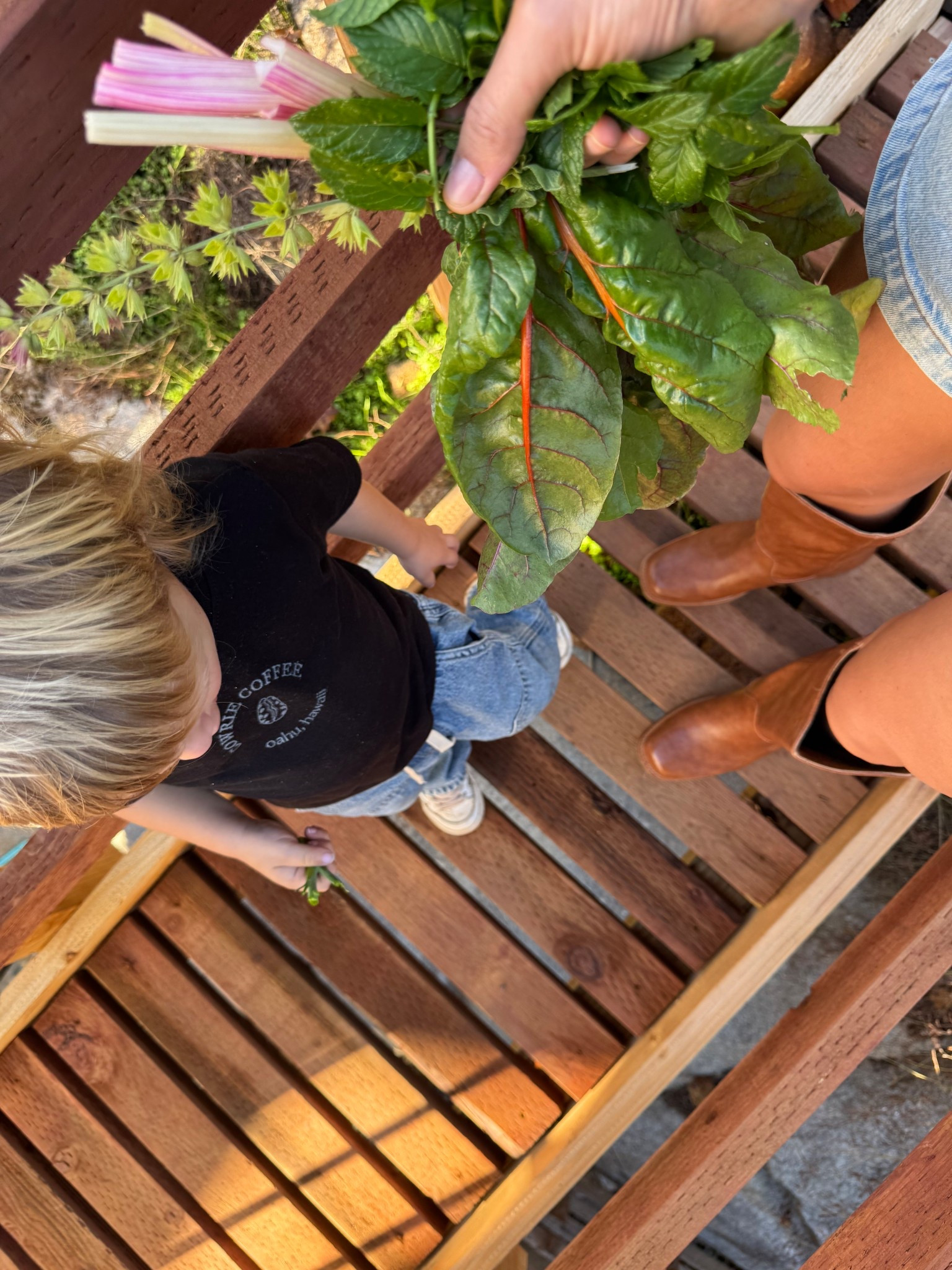 I’m here for the fall garden pickins’ and the Frye boot with Jean short trend. May they both never go away 🤭🍂🥬

#LTKSeasonal #LTKStyleTip #LTKFamily