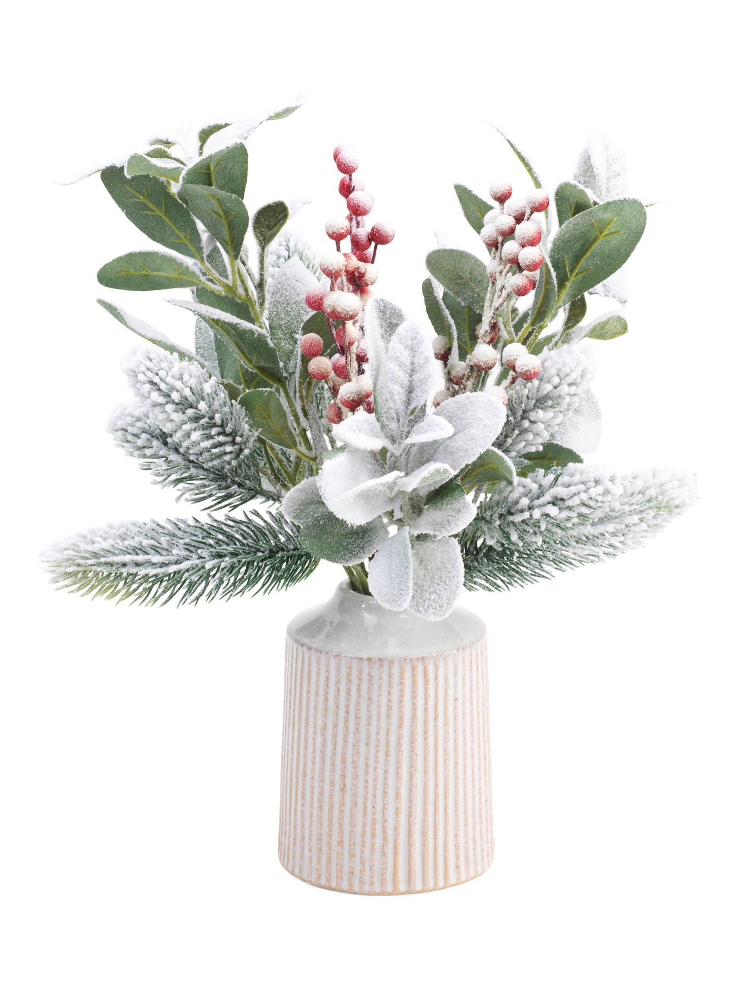 16in Berry And Lamb Ear In Ribbed Pot | Plants & Planters | Marshalls | Marshalls