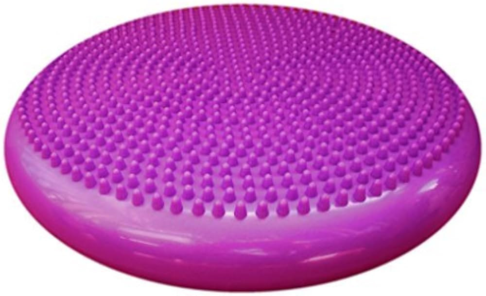 Therapist’s Choice Inflated Air-Filled Stability Balance Disc-Purple | Amazon (US)