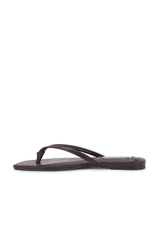 Steve Madden Marnie Flip Flops in Brown from Revolve.com | Revolve Clothing (Global)