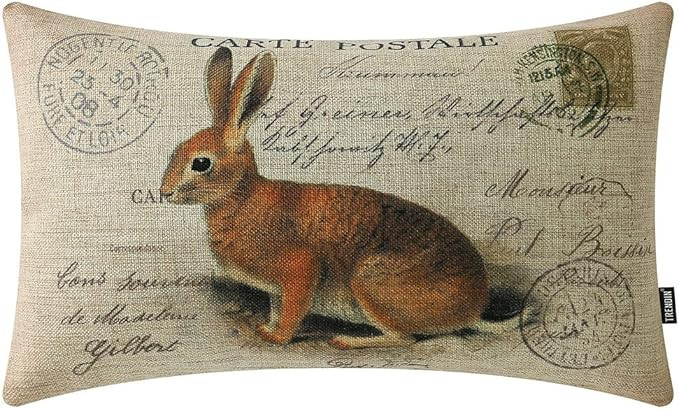 TRENDIN Bunny Pillow Covers 12x20 Farmhouse Easter Decoration for Home Retro Spring Cushion Cover... | Amazon (US)