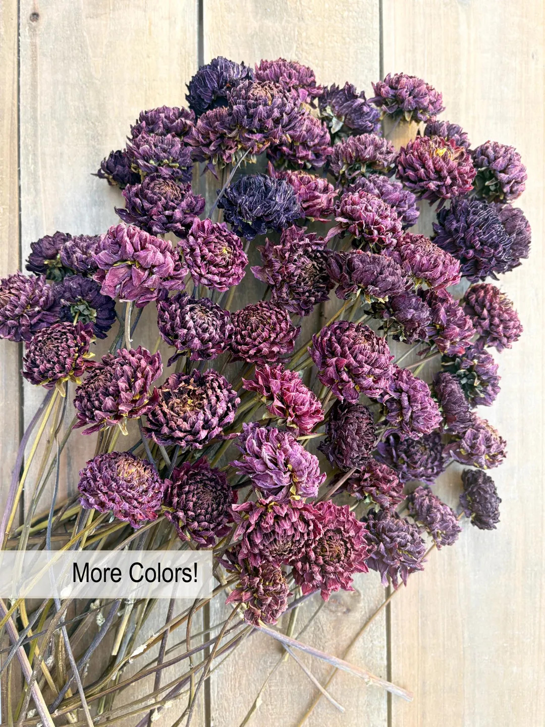 Dried Dahlia Flowers in Shades of Deep Red, Burgundy, Dark Purple - 6 Stems - Etsy | Etsy (US)