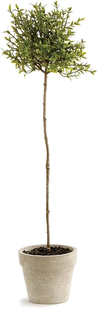 Brand: Napa Home & Garden | Amazon (US)