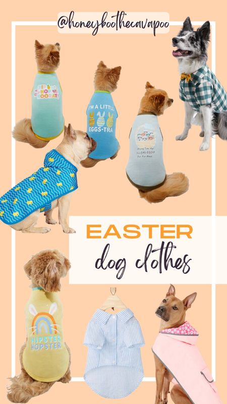 Cutest Easter outfits for your family Easter photos 🐣

#ltkpet #ltkdog 

#LTKSeasonal #LTKfamily #LTKGiftGuide