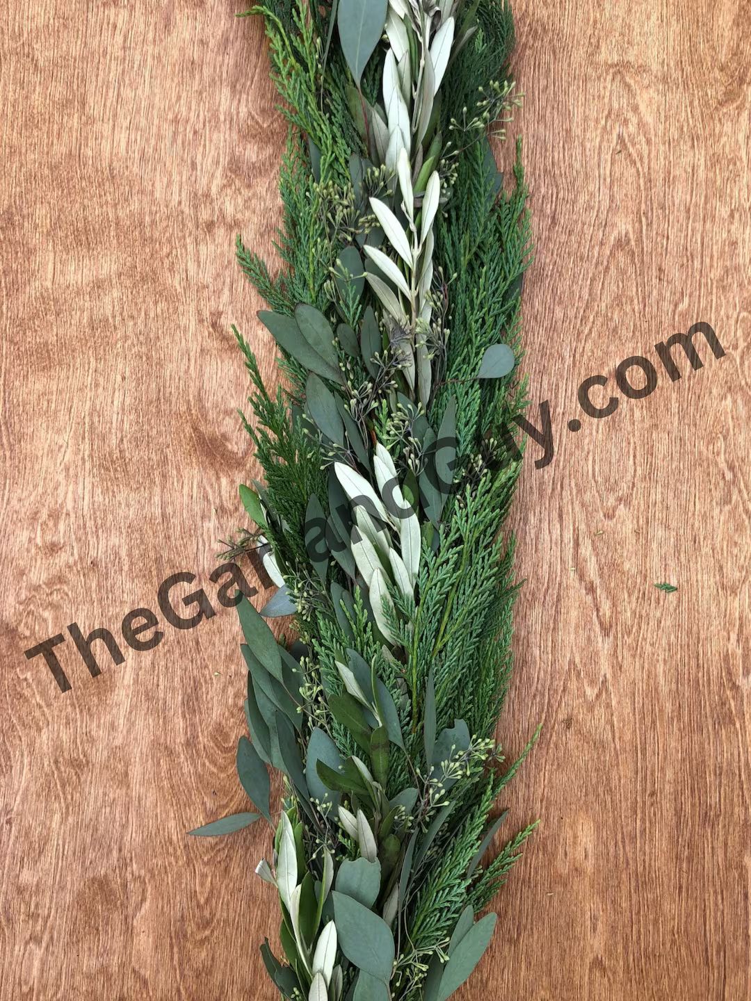 Freshly Harvested Leyland Cypress Olive Leaf and Seeded - Etsy | Etsy (US)