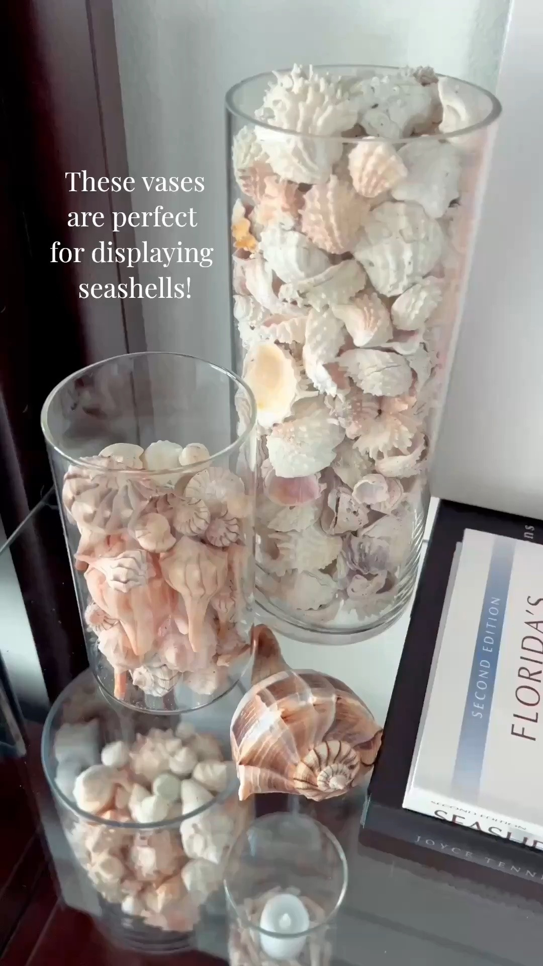 These vases are perfect for displaying the seashells I recently found at the beach.

#LTKHome #LTKSeasonal #LTKvlog